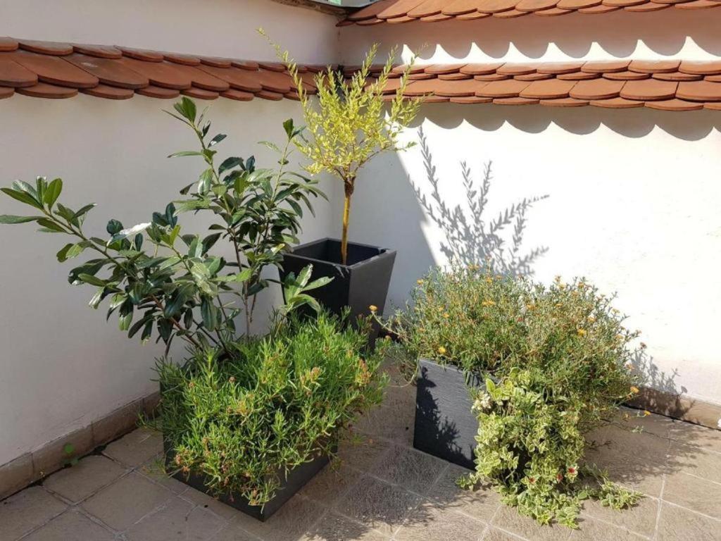 Old Town - Terrace & Parking *